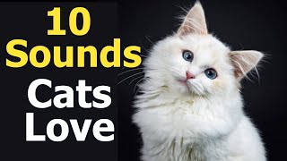 10 Sounds Cats Love To Hear The Most [upl. by Sadie]