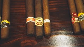 Understanding Cigars [upl. by Anytsirk358]