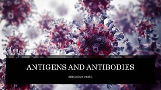 Antigens and Antibodies [upl. by Eylsel]