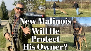 New Malinois  Will He Protect His Owner [upl. by Roosevelt]