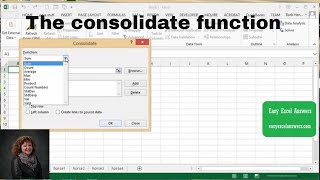 How to use the consolidate function in Excel [upl. by Ataynek]