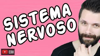 SISTEMA NERVOSO  FISIOLOGIA  Aula  Biologia com Samuel Cunha [upl. by Kcirdnekal]