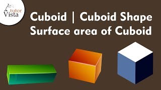 Cuboid  Cuboid Shape  Surface Area [upl. by Brand821]