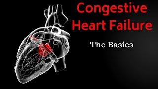 Congestive Heart Failure CHF  Basics Overview [upl. by Esinart509]