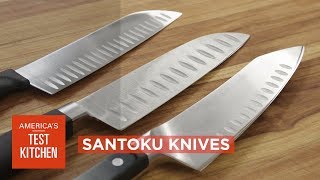 Equipment Review Best Santoku Knives amp Our Testing Winners [upl. by Liebermann784]