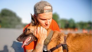 BELGIAN MALINOIS LEFT IN A UHAUL GETS A FRESH START [upl. by Leela]