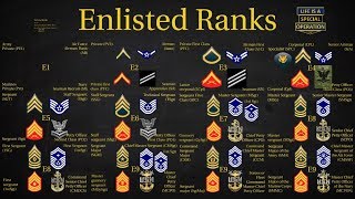 US Military All Branches ENLISTED Ranks Explained [upl. by Konstantin]