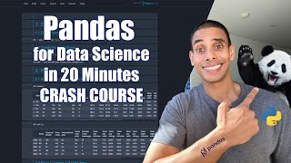 Pandas for Data Science in 20 Minutes  Python Crash Course [upl. by Carman]