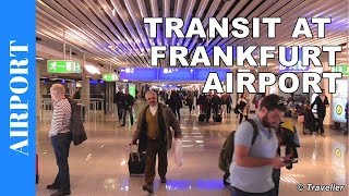 TRANSIT WALK AT FRANKFURT Airport FRA Terminal 1  Connection Flight Transfer Arriving amp Departing [upl. by Ecirtam]