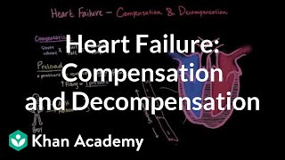 Compensation and decompensation in heart failure  NCLEXRN  Khan Academy [upl. by Llewej50]